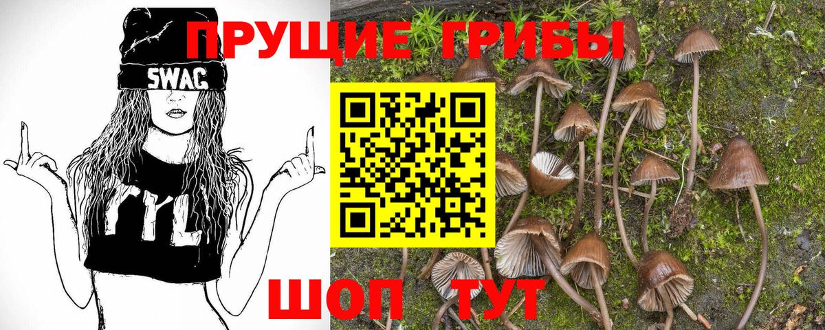 Псилоцибиновые грибы прущие грибы Канаш