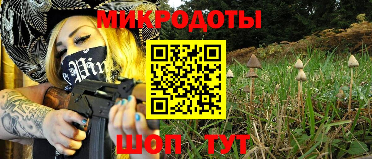 Галлюциногенные грибы Psilocybine cubensis  Вход с VPN  Канаш 
