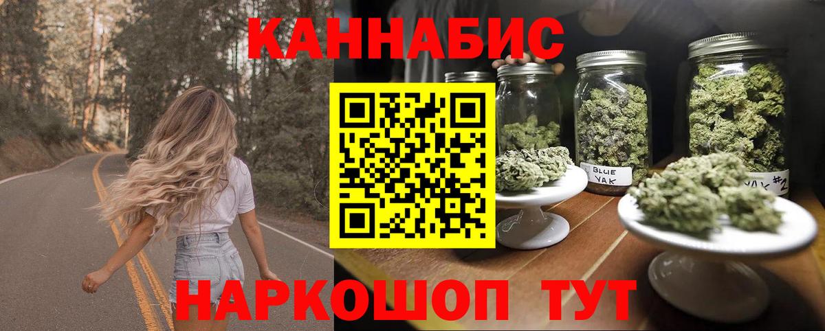 Бошки Шишки планчик Канаш